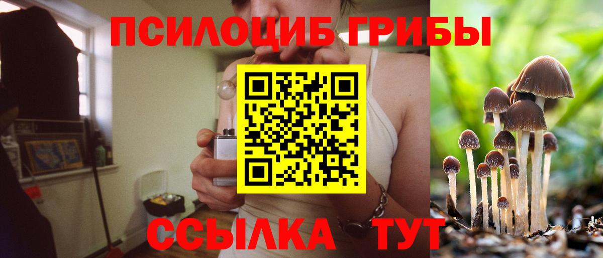 Галлюциногенные грибы Magic Shrooms  Вход с VPN  Старая Русса  Псилоцибиновые грибы мухоморы 
